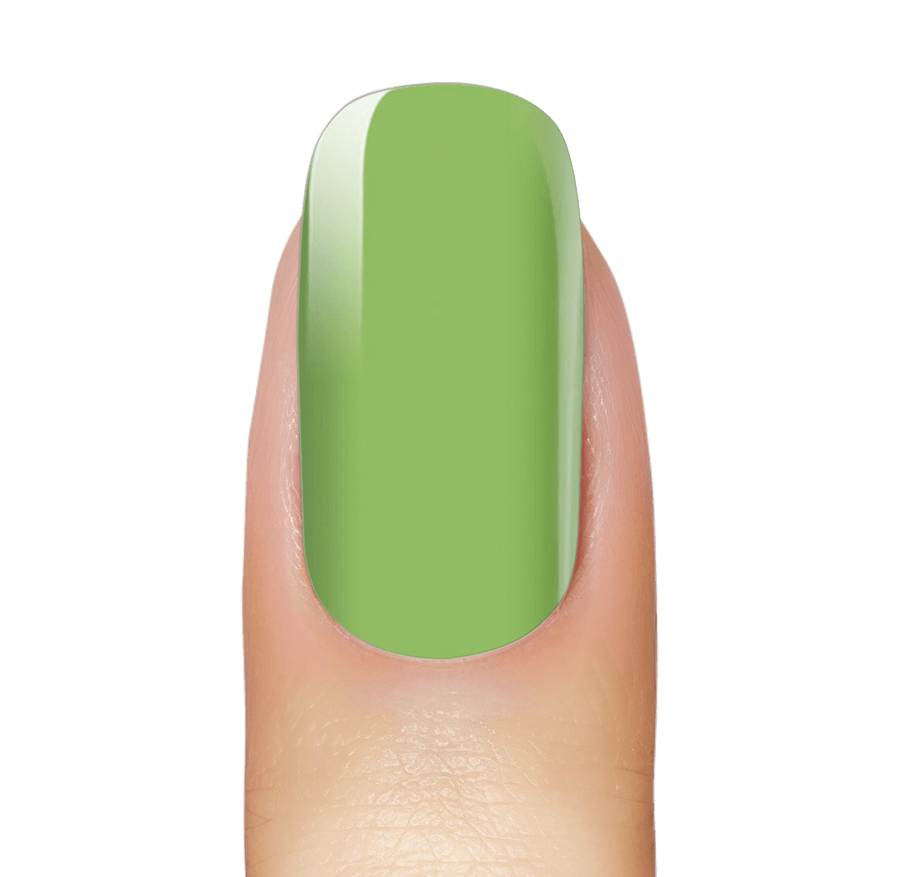 Avocado Green