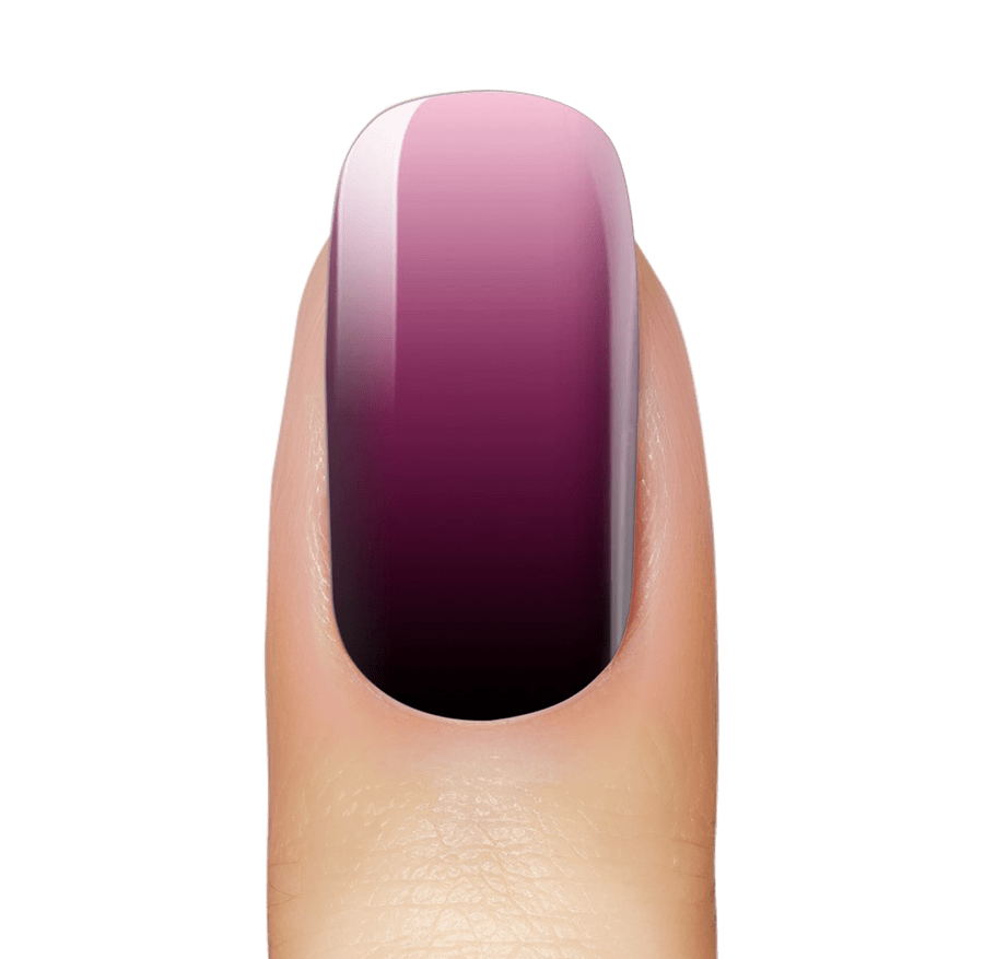 NEW: Black Cherry Ombré