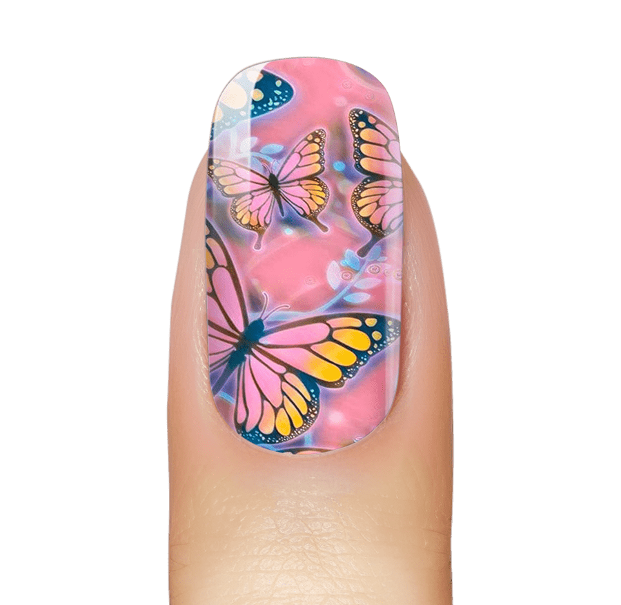 Butterfly Pop